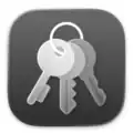 Keychain Icon